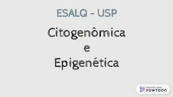 Free download mondin parte 1 video and edit with RedcoolMedia movie maker MovieStudio video editor online and AudioStudio audio editor onlin