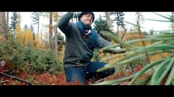 Free download Monster Gold Trailer video and edit with RedcoolMedia movie maker MovieStudio video editor online and AudioStudio audio editor onlin