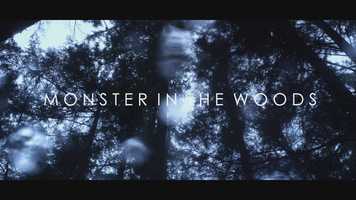 Free download Monster In The Woods - Trailer video and edit with RedcoolMedia movie maker MovieStudio video editor online and AudioStudio audio editor onlin