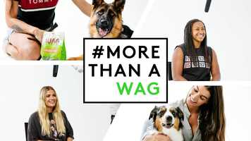 Free download MORE THAN A WAG - Reclaim The Word - #MoreThanAWAG video and edit with RedcoolMedia movie maker MovieStudio video editor online and AudioStudio audio editor onlin