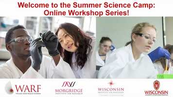 Free download Morgridge Summer Science Workshop Series: 07.28.21 - Huisken video and edit with RedcoolMedia movie maker MovieStudio video editor online and AudioStudio audio editor onlin