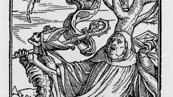 Free download Morning Dew video and edit with RedcoolMedia movie maker MovieStudio video editor online and AudioStudio audio editor onlin