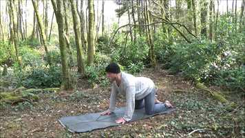 Free download Morning Movement Flow 67 video and edit with RedcoolMedia movie maker MovieStudio video editor online and AudioStudio audio editor onlin