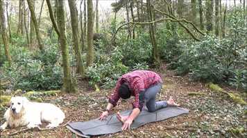 Free download Morning Movement Flow 76 Restorative video and edit with RedcoolMedia movie maker MovieStudio video editor online and AudioStudio audio editor onlin