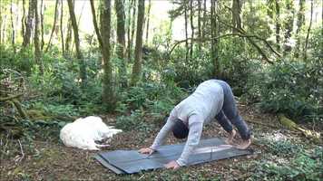 Free download Morning Movement Flow 94 video and edit with RedcoolMedia movie maker MovieStudio video editor online and AudioStudio audio editor onlin