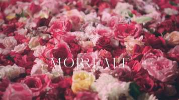 Free download MORREALE // Odysse video and edit with RedcoolMedia movie maker MovieStudio video editor online and AudioStudio audio editor onlin