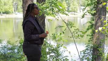 Free download Mos Film Notifications NS video and edit with RedcoolMedia movie maker MovieStudio video editor online and AudioStudio audio editor onlin