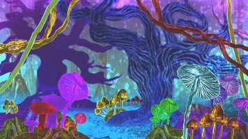 Free download MOTION GRAPHICS REEL 2020 /// Meejin Hong video and edit with RedcoolMedia movie maker MovieStudio video editor online and AudioStudio audio editor onlin