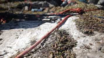 Free download Mountaineering Equipment Stock Video video and edit with RedcoolMedia movie maker MovieStudio video editor online and AudioStudio audio editor onlin