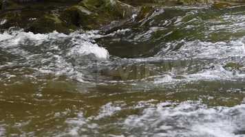 Free download Mountain River Stock Video video and edit with RedcoolMedia movie maker MovieStudio video editor online and AudioStudio audio editor onlin