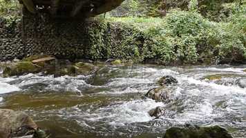 Free download Mountain Stream River Stock Video video and edit with RedcoolMedia movie maker MovieStudio video editor online and AudioStudio audio editor onlin