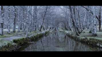 Free download Movement - A journey into Creative Lives video and edit with RedcoolMedia movie maker MovieStudio video editor online and AudioStudio audio editor onlin