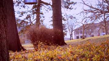 Free download Movement: Chiming video and edit with RedcoolMedia movie maker MovieStudio video editor online and AudioStudio audio editor onlin