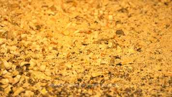 Free download MOVEMENT IN SILENCE video and edit with RedcoolMedia movie maker MovieStudio video editor online and AudioStudio audio editor onlin