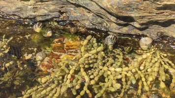 Free download Movements  Impermanence video and edit with RedcoolMedia movie maker MovieStudio video editor online and AudioStudio audio editor onlin