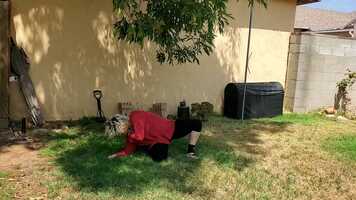 Free download Movement theme for acceptance-reconstruction.mp4 video and edit with RedcoolMedia movie maker MovieStudio video editor online and AudioStudio audio editor onlin