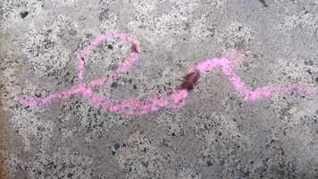 Free download Movement Through Feathers- short stop motion video and edit with RedcoolMedia movie maker MovieStudio video editor online and AudioStudio audio editor onlin