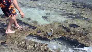 Free download Movie 1A video and edit with RedcoolMedia movie maker MovieStudio video editor online and AudioStudio audio editor onlin