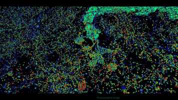 Free download Movie 9 | Local density map of DAN-associated presynaptic sites across an adult Drosophila brain video and edit with RedcoolMedia movie maker MovieStudio video editor online and AudioStudio audio editor onlin