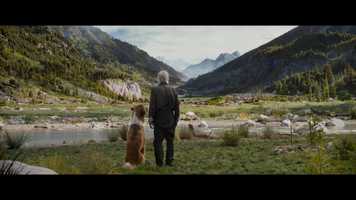 Free download Movie: Call Of The Wild Domestic Trailer video and edit with RedcoolMedia movie maker MovieStudio video editor online and AudioStudio audio editor onlin