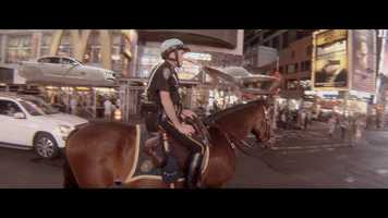 Free download MOVIE_FILMREEL 2017 video and edit with RedcoolMedia movie maker MovieStudio video editor online and AudioStudio audio editor onlin