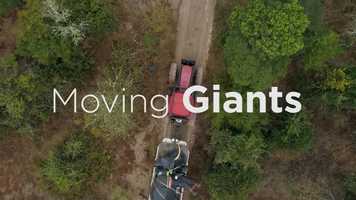 Free download Moving Giants - Trailer video and edit with RedcoolMedia movie maker MovieStudio video editor online and AudioStudio audio editor onlin