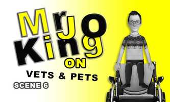 Free download Mr Jo king on Vets and Pets - Outstanding Comedy Animation Series - Scene 6 video and edit with RedcoolMedia movie maker MovieStudio video editor online and AudioStudio audio editor onlin