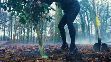 Free download MRK FILM | Goede voornemens video and edit with RedcoolMedia movie maker MovieStudio video editor online and AudioStudio audio editor onlin