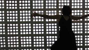 Free download msica Dana de Elza Soares video and edit with RedcoolMedia movie maker MovieStudio video editor online and AudioStudio audio editor onlin