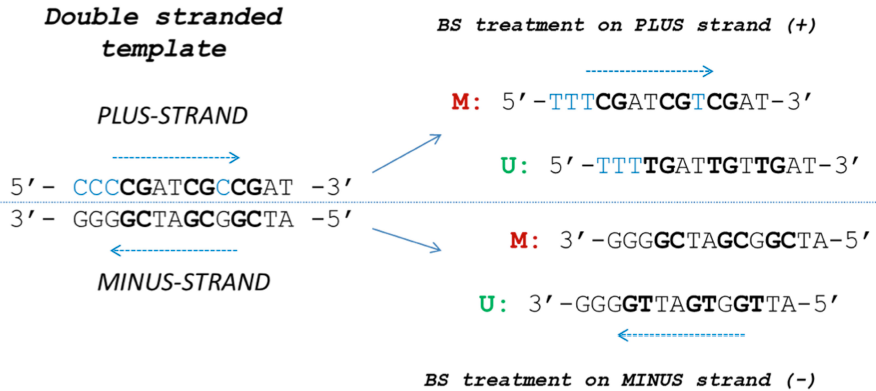 Download web tool or web app MSP-HTPrimer