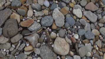 Free download MTK video and edit with RedcoolMedia movie maker MovieStudio video editor online and AudioStudio audio editor onlin