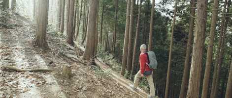 Free download Mt. Kusato 草戸山 video and edit with RedcoolMedia movie maker MovieStudio video editor online and AudioStudio audio editor onlin