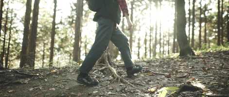 Free download Mt. Mikuni 三国山 video and edit with RedcoolMedia movie maker MovieStudio video editor online and AudioStudio audio editor onlin