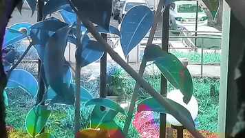 Free download Murilo Mac - Hypnagogic video and edit with RedcoolMedia movie maker MovieStudio video editor online and AudioStudio audio editor onlin