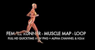 Free download Muscle Map - Female Runner - Loop | Motion Graphics - Envato elements video and edit with RedcoolMedia movie maker MovieStudio video editor online and AudioStudio audio editor onlin