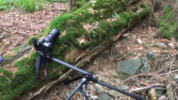 Free download Mushroom Light Painting; composition trailer video and edit with RedcoolMedia movie maker MovieStudio video editor online and AudioStudio audio editor onlin