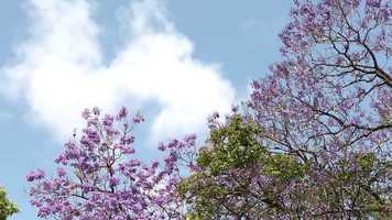 Free download music_fiordilucemassaggi video and edit with RedcoolMedia movie maker MovieStudio video editor online and AudioStudio audio editor onlin