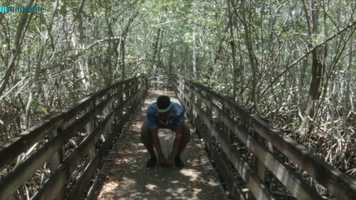 Free download Music for Dark Decko Trailer video and edit with RedcoolMedia movie maker MovieStudio video editor online and AudioStudio audio editor onlin