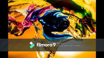 Free download music proposal number 3 video and edit with RedcoolMedia movie maker MovieStudio video editor online and AudioStudio audio editor onlin