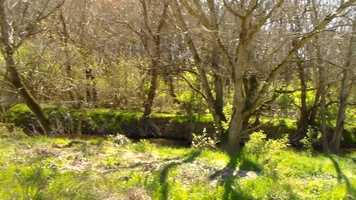 Free download Music video could it be another change video and edit with RedcoolMedia movie maker MovieStudio video editor online and AudioStudio audio editor onlin