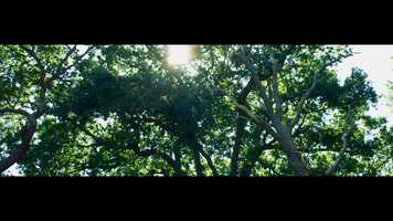 Free download MUSIC VIDEO - Duke Amaro - TLT video and edit with RedcoolMedia movie maker MovieStudio video editor online and AudioStudio audio editor onlin