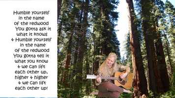 Free download Music Video: Humble Yourself with Trees video and edit with RedcoolMedia movie maker MovieStudio video editor online and AudioStudio audio editor onlin