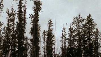 Free download Music Video - OTR - Heart ft Shallou video and edit with RedcoolMedia movie maker MovieStudio video editor online and AudioStudio audio editor onlin