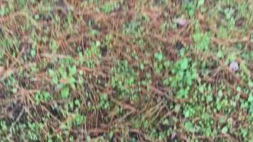 Free download music video out of the woods video and edit with RedcoolMedia movie maker MovieStudio video editor online and AudioStudio audio editor onlin