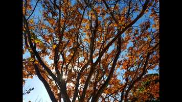 Free download Music Video - Photos Sydney - June 20 video and edit with RedcoolMedia movie maker MovieStudio video editor online and AudioStudio audio editor onlin