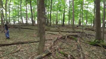 Free download Music Vid video and edit with RedcoolMedia movie maker MovieStudio video editor online and AudioStudio audio editor onlin