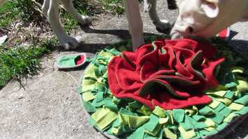 Free download MVI_2295 video and edit with RedcoolMedia movie maker MovieStudio video editor online and AudioStudio audio editor onlin