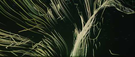 Free download MV River Connections Trailer 235x1 video and edit with RedcoolMedia movie maker MovieStudio video editor online and AudioStudio audio editor onlin