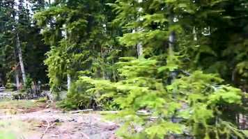 Free download My 2018 video and edit with RedcoolMedia movie maker MovieStudio video editor online and AudioStudio audio editor onlin