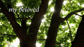 Free download my beloved - short documentary video and edit with RedcoolMedia movie maker MovieStudio video editor online and AudioStudio audio editor onlin